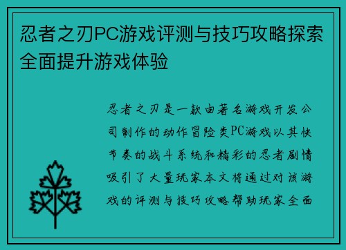 忍者之刃PC游戏评测与技巧攻略探索全面提升游戏体验